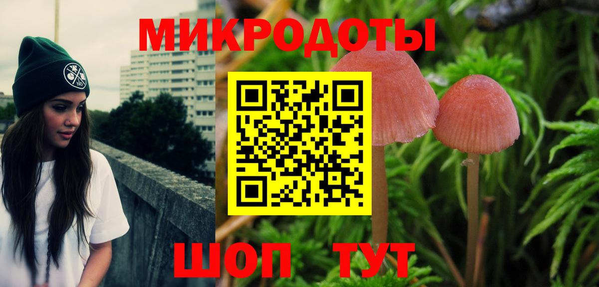 Галлюциногенные грибы Magic Shrooms Чернушка